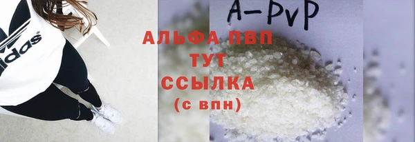 ПСИЛОЦИБИНОВЫЕ ГРИБЫ Горняк