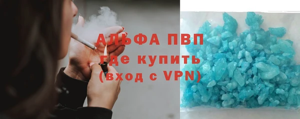ПСИЛОЦИБИНОВЫЕ ГРИБЫ Горняк