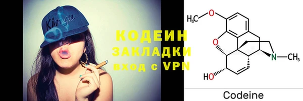 ПСИЛОЦИБИНОВЫЕ ГРИБЫ Горняк