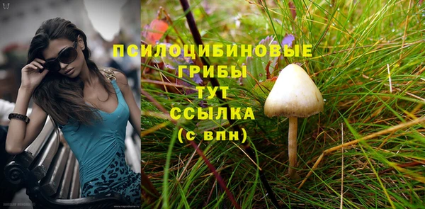 ПСИЛОЦИБИНОВЫЕ ГРИБЫ Горняк