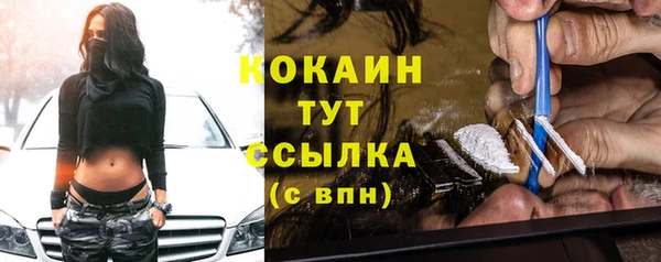 ПСИЛОЦИБИНОВЫЕ ГРИБЫ Горняк