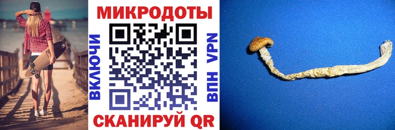 Галлюциногенные грибы Psilocybine cubensis  МЕГА сайт  Пущино 
